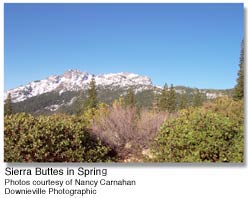 Sierra Buttes in Spring