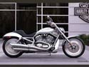 Auburn Harley Davidson