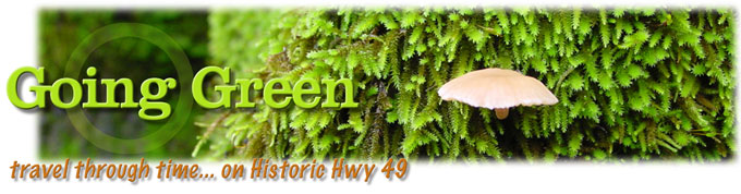 green eco recycle