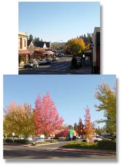 Grass Valley in the Fall